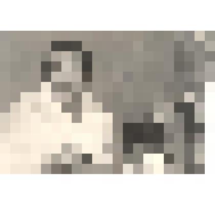 фотография. Прокудина Мария Ивановна. Черно-белое фото, поясной портрет в рабочем кабинете