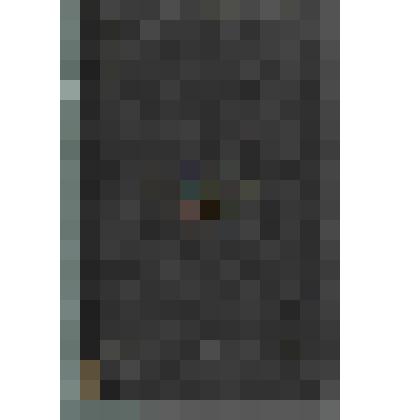 Книга: Стихотворения Кольцова. Издание К. Солдатенкова и Н. Щепкина, Москва, 1856 г