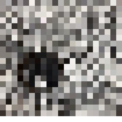 Монета достоинством 1 шекель 1994 г