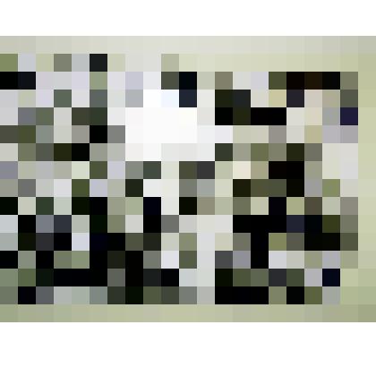 Черно-белая фотография , отражающая раскопки Дуровского лагеря военнопленных