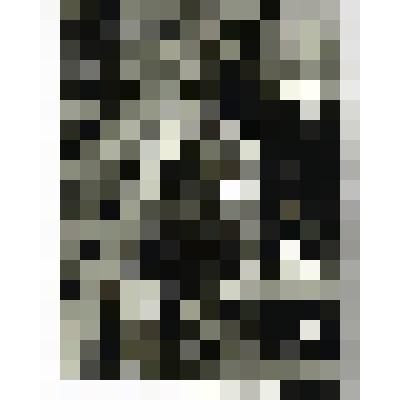 Фотография групповая. Бригада Тимошенко. Лето 1985 г