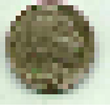 Монета. США