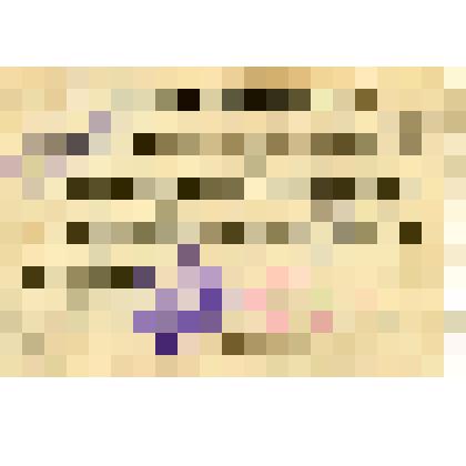 Удостоверение № 1448