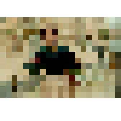 Картина. Продавщица цветов