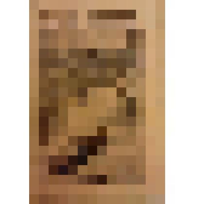 Книга. Семенов С.Т. Настасья Большенина [Text] / Издательство в книге не указано. - М. : Издательство "Посредник" (№ 181), 1899 (Типография Вильде)