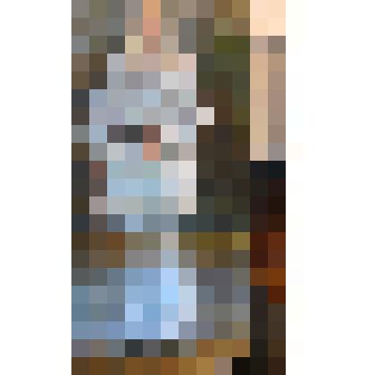 Портрет Л.Н. Толстого