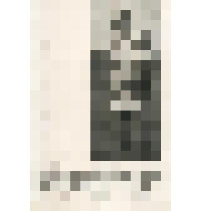 Открытка. Л.Н.Толстой. Репродукця с фото В.Г.Черткова . 1906г