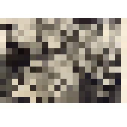 Фотография черно- белая. Матовая снимок групповой: 10 человек на улице. Анастасия Максимовна Кашенцева с учениками шк. 160