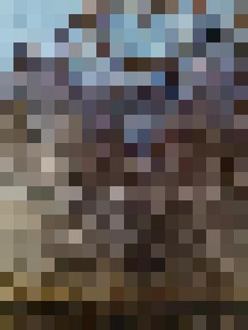 Картина. Домик лесника