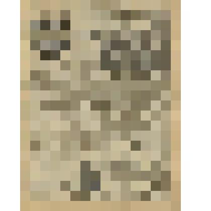 Газета. "Красный кавалерист" № 49