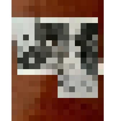 Фотография черно-белая, конец 80-х гг. - начало 90-х гг. Ветераны ВОВ с. Левокумского отмечают День Победы. Слева направо: 3 - Пачева Т. И., 4 - Кустова Л. В., 5 - Чудинова А. А., Качалкина Д. Г., Панина М. В