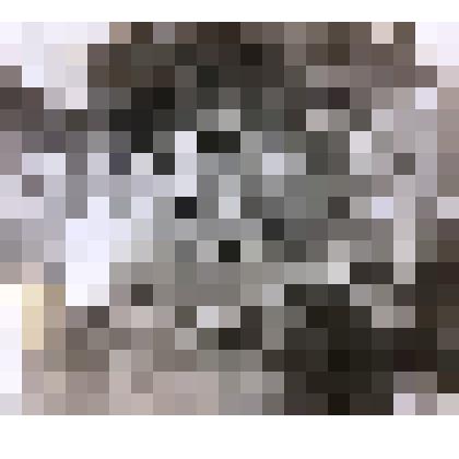 Фото: Северцев Алексей Яковлевич на переднем плане  (справа),  слева сестра Алексея Яковлевича, уроженцы д. Полушкино Шумячского района Смоленской области. Фото 1938 г