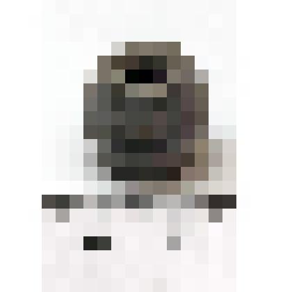 Коллекция предметов из раскопок А.Ф. Дубынина в г. Суздаль в 1939 году. Пряслице шиферное