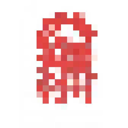 Лотосы в цветнике