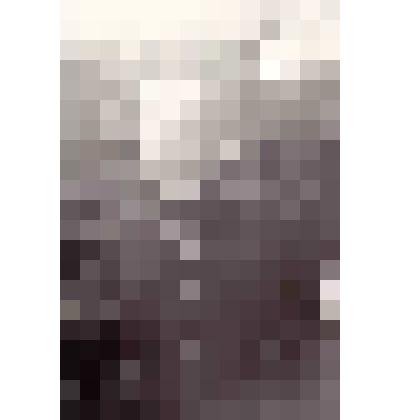 Фотография.Черепанова Мария Ильинична, 1920 г.р.,  женщина-механизатор 1941-1945 гг