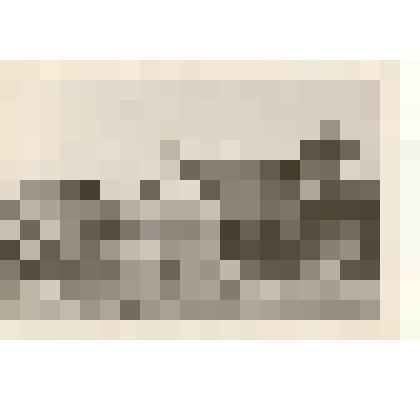 Фотография: механизатор совхоза "Октябрь" Каменского района Алтайского края Баженов Г. ведет заправку сеялок бункером наполнителем