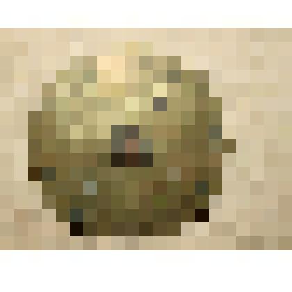 Пуговица нганасанская