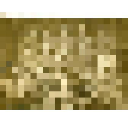 Фотография. Работники молочной фермы колхоза "Путь крестьянина" с.Русские Липяги