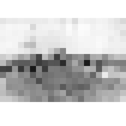 Фото ч/б. Шествие жителей Зеленограда и окрестностей из пос. Андреевка в сторону д. Александровки, в связи с перезахоронением в братскую могилу д. Александровка праха троих погибших воинов. 18.10.1981 г