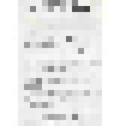 Документ. Грамота за подписью гофмейстера Высочайшего Двора и управляющего делами Капитула Орденов выдана Киселеву Николаю Федоровичу, заведующему Кинешемским первым одноклассным приходским училищем, в том, что он награжден Императорским и Царским орденом