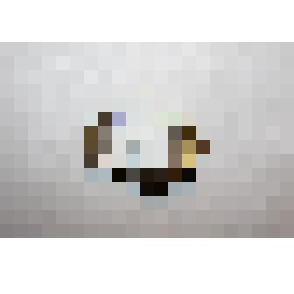 Значок "Гвардия". Принадлежал: Калинину А. И