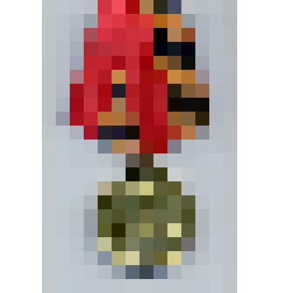 Медаль "Жукова"