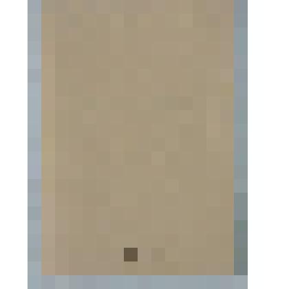 Книга профгруппорга