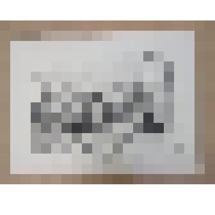 "Никополь. Лагерь турецких семей, охраняемый русскими в овраге за городом", рисунок с натуры А.Лансона