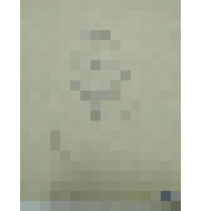 Мужской портрет. Шарж. Рисунок