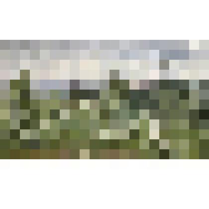 После дождя