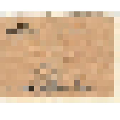 Документ. Справка Белорусского Штаба партизанского движения от 25 июля 1944 года Соколову Василию Ивановичу в том, что он действительно состоит в партизанской бригаде "Народные мстители" с 04 мая 1943 года по 25 июля 1944 года