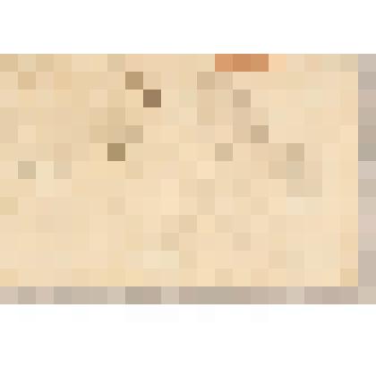 Ласки, из альбома  «190 пейзажей; зарисовки, иллюстрации, карикатуры»