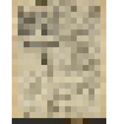 Газета. "Красный кавалерист" № 80