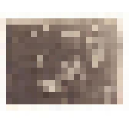 Фотопозитив. Заседание избирательной комиссии  в день выборов в Верховный Совет СССР. Пароход «Белоруссия»