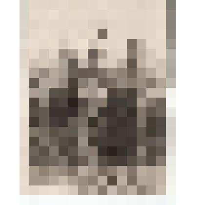 Ф/чб. Брагазин М.А., 1-й секретарь Энгельсского РК КПСС (справа) в Романовском р-не осматривает урожай кукурузы с работником колхоза. 1958 г