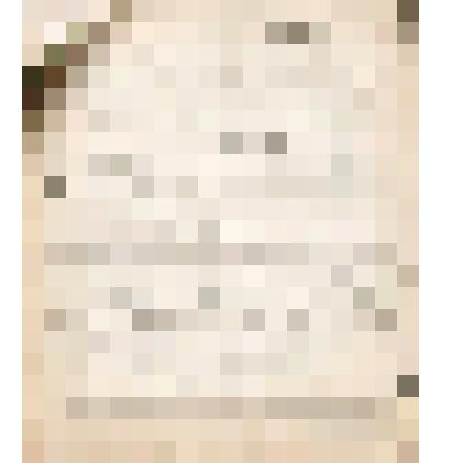 Телеграмма № 867 в г. Чердынь В.Н.Алину от Головина из г. Архангельска, 08.09.1906 г