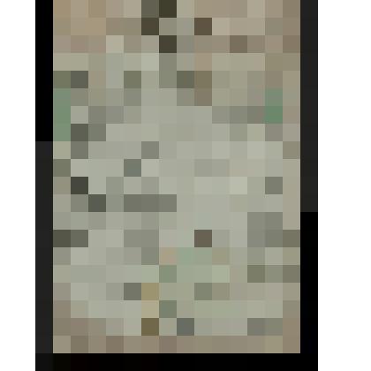 План земельного межевания «Геометрической специальной план Вологодскаго уезду Сямской волости пустоши Васильевой»