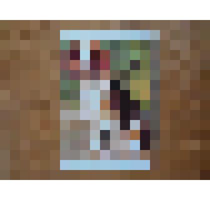 Календарик карманный с изображением собаки. Серия "животные и птицы"