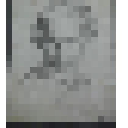 Учебный рисунок. Портрет девочки