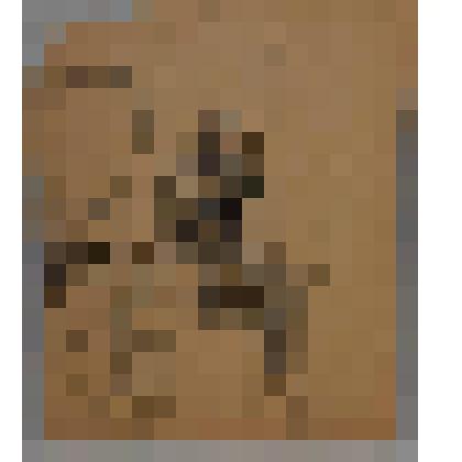 Пиковая дама. Набросок