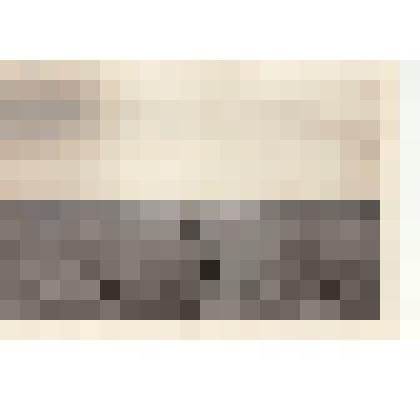 Фото/чб. Энгельсская опытно-мелиоративная станция (ВОЛЖНИИГИМ). Окучивание поля трактором с плугом. 1960-1970-е