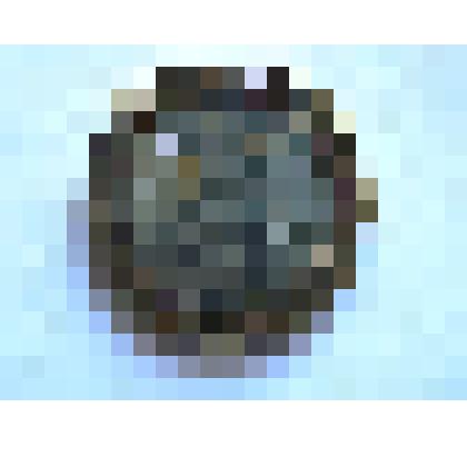 Монета 100 рублей