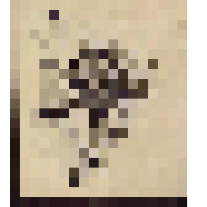 Рисунок с изображением бога грома