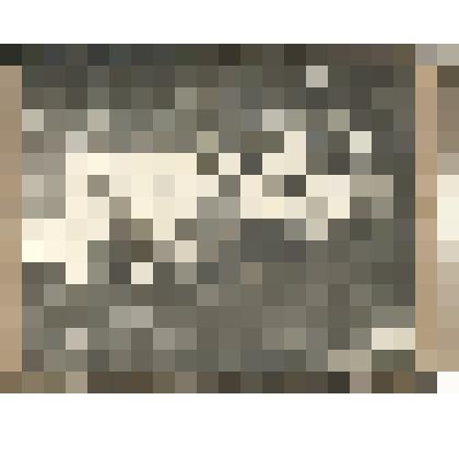 Фотография.Пленум Чернского райкома РЛКСМ 1925 год