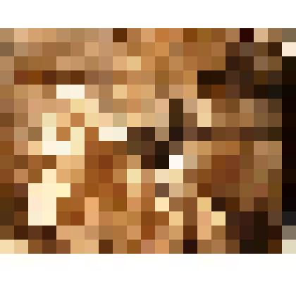 Фотография. Нина Павловна, Вера Алексеевна, Мария Климентьевна, Григорий Павлович, Павел Павлович, Галина Ильинична, г. Челябинск