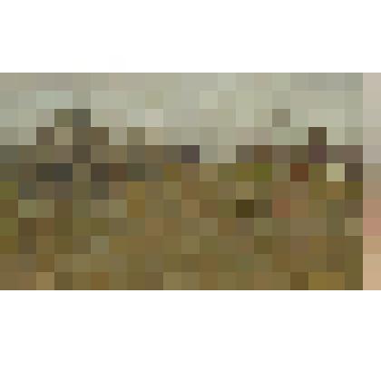 Картина "Деревня Кузьмино под г. Белый. 1942 г."