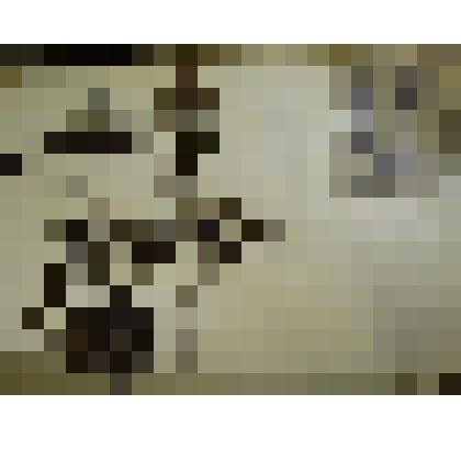 Гербарий. Малина сахалинская, гербария М.И.Губельмана