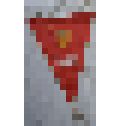 Вымпел. Смотр-конкурс