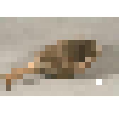 Ковш-черпак