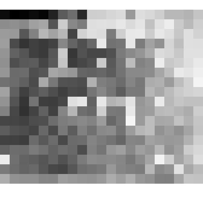 Агитбригада синеблузочников